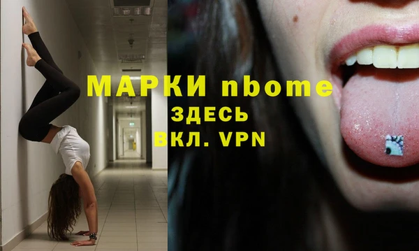 PSILOCYBIN Алзамай