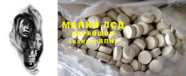 PSILOCYBIN Алзамай