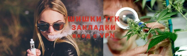 PSILOCYBIN Алзамай