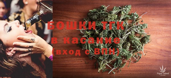 PSILOCYBIN Алзамай