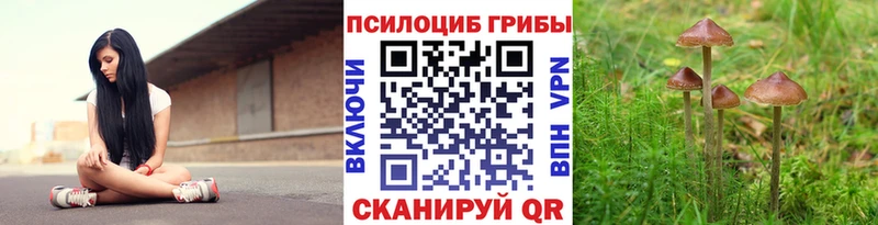 Псилоцибиновые грибы Cubensis  Купить где  Бийск 